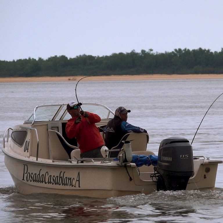 pesca11-pcb