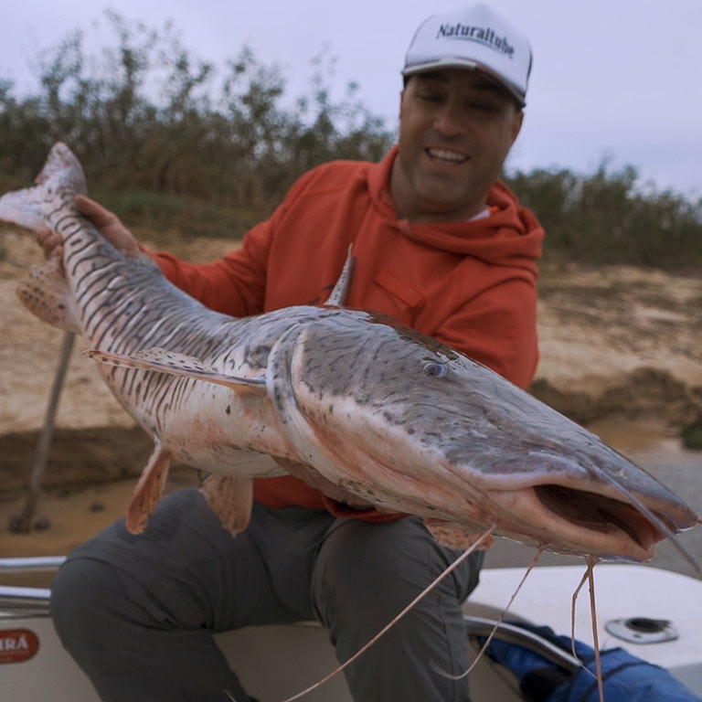 pesca9-pcb